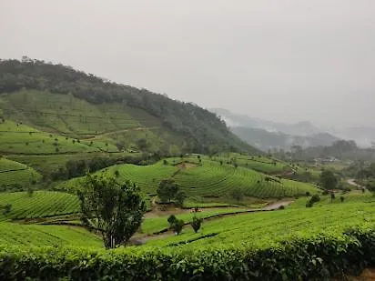 Munnar Vibe Villa